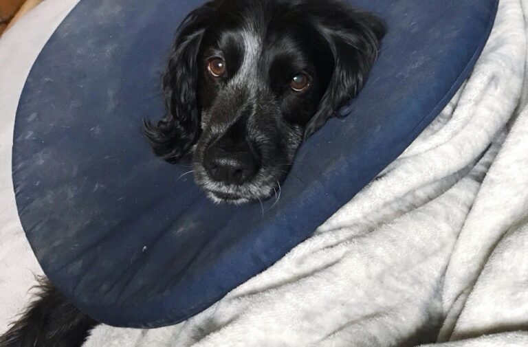 Ultra-Langstrecken-Heilung 11/25 – Stille